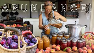 Preserving The Harvest Simple Methods, Easy Recipes