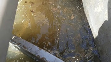 Tumbl-R - Pilot Test - Potato Industry - Washing Water