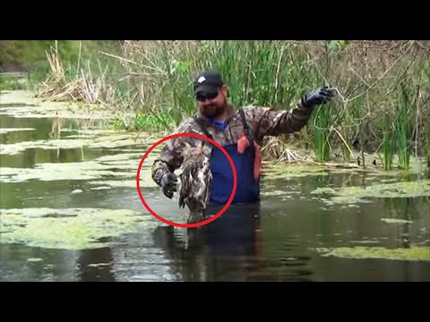 Video: Vai ciedrs ir piemērots trušu mājai?