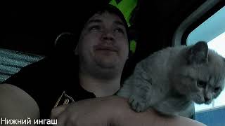 видео: Рейс в Иркутск часть 1 (и немного рассказа обо мне) картинка: Рейс в Иркутск часть 1 (и немного рассказа обо мне)