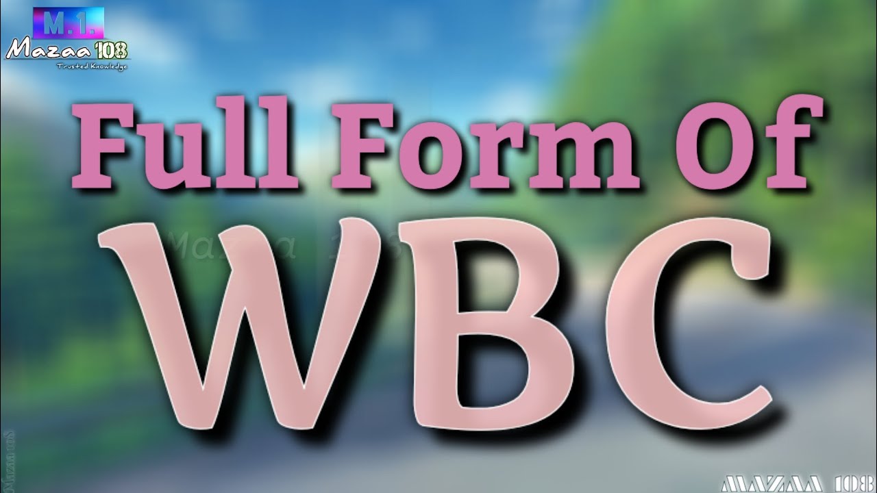 Full Form Of WBC WBC Full Form WBC Means WBC Stands For WBC Ka full-form-of-wbc-wbc-full-form-wbc-means-wbc-stands-for-wbc-ka