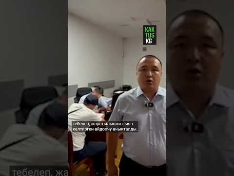 Соң-Көлдө жайытты унаа менен тебелеген айдоочу айыпка жыгылды #кактус #сонкол