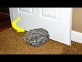 A Man Used This Rock ‘Doorstopper’ For Years, Until A Scientist Told Him the Truth