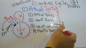 CVS new system (Cardiac Cycle) dr mohamed Fayez