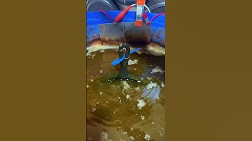 Modern lodge skillet rust removal #rusty #cleaning #diy #shorts