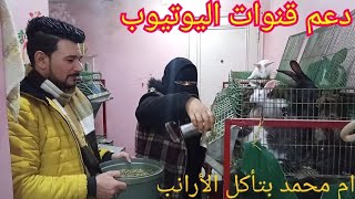 أرانب ابو نرمين وأم محمد بتعلف الأرانب ودعم قنوات اليوتيوب...(حلقه 622)