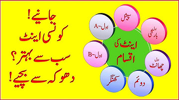 Types of Red Clay Bricks | types of bricks based on raw material | urdu/hindi | Property Plans