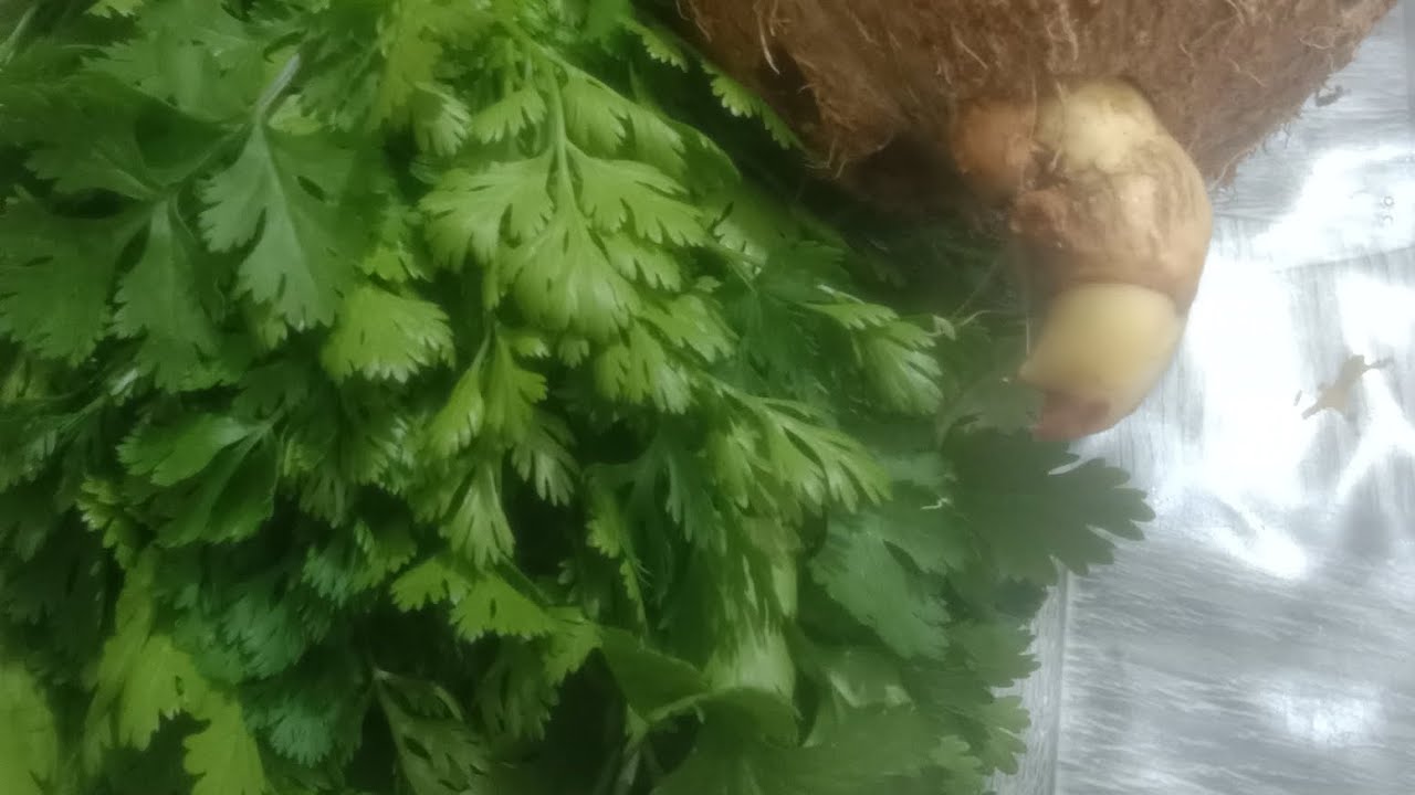 আমার স্বামী একজন ডাক্তার।সে আমাকে প্রতি রাতে ইনজেকশন দিতো-পার্ট ২