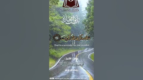 أجمل تلاوة للشيخ نجيب الشرعبي