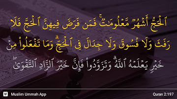 سوره بقره، آیه ۱۹۷