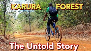 Discovering the SECRETS of Karura Forest Nairobi 🇰🇪