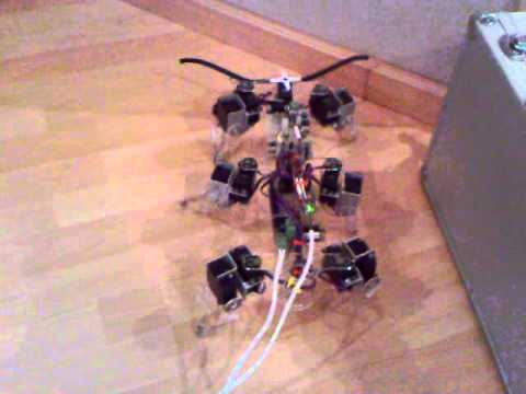 Dean Joffe 2008 UCT Thesis - Hexabot