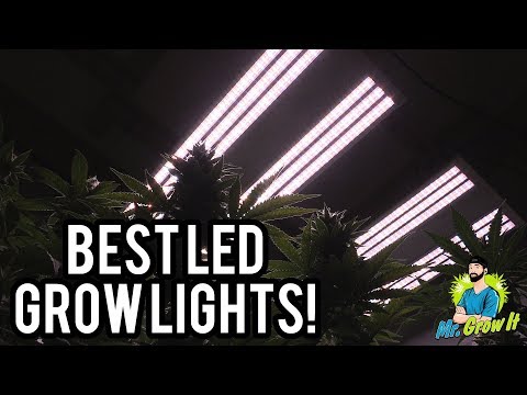 best-led-grow-lights-2019!---4x4-coverage-area