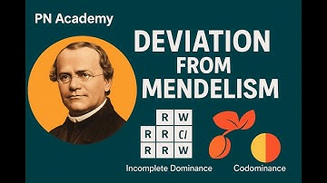 🧬 Deviation from Mendelism | Class 12 Biology | PN Academy