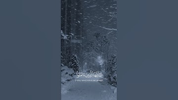 وصفة السعادة الحقيقية ✨ | "اذكروا الله ذكرًا كثيرًا" | تلاوة تزرع الطمأنينة واليقين | سورة الأحزاب