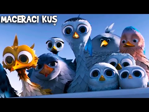 Karl, Minik Kuşu Kurtardı | Maceracı Kuş  Animasyon Filmi