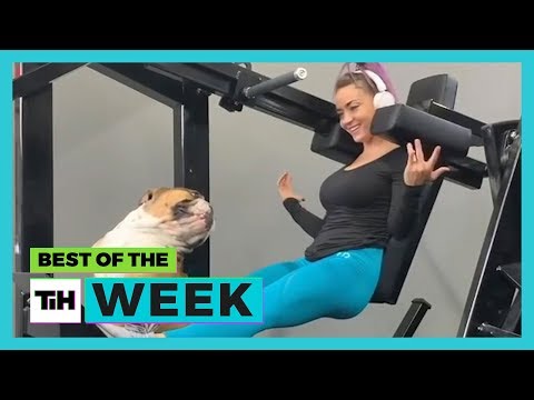 Dogs Are The Best Workout Partners | Best of the Week
