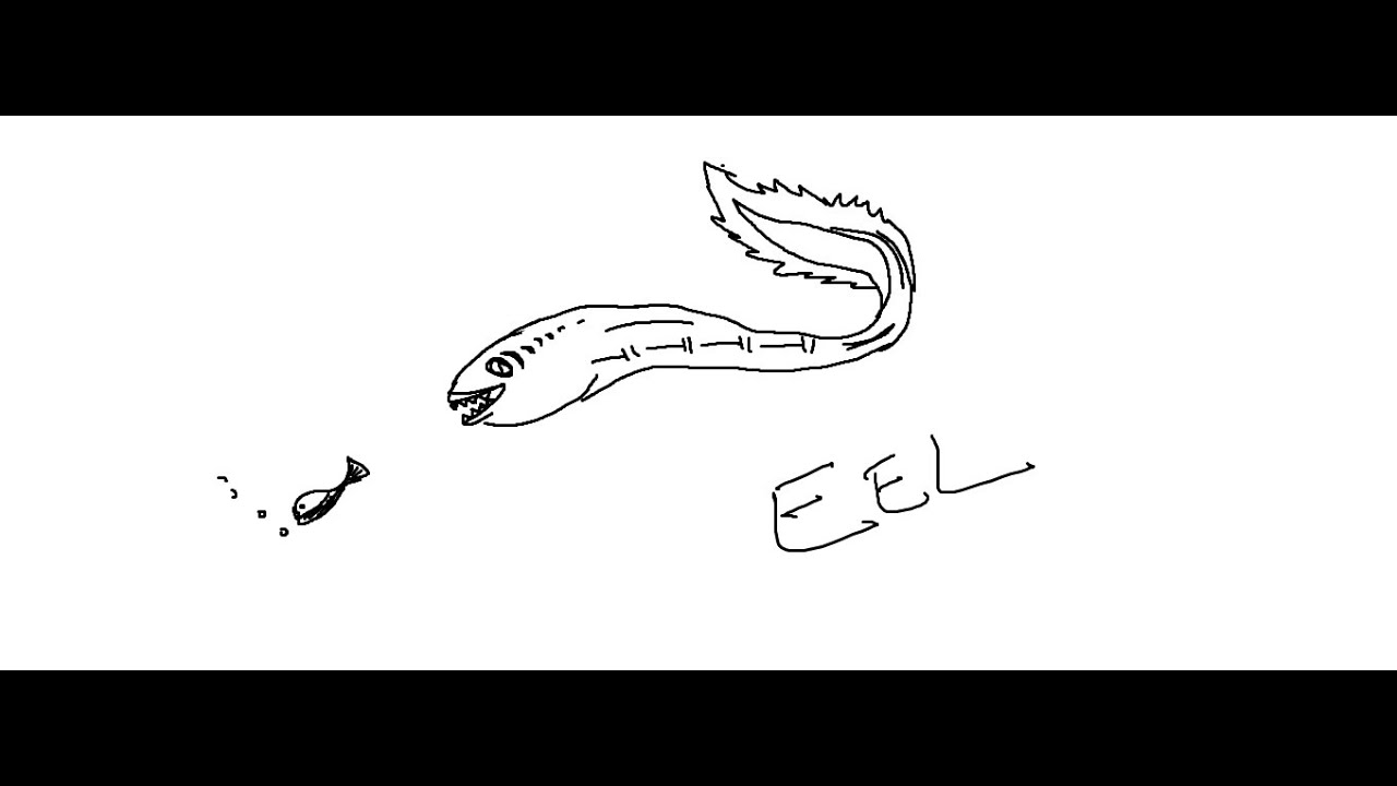 Easy Kids Drawing Lessons:How to Draw a cartoon Electric Eel for KIDS