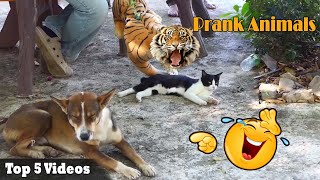 Best Prank Collection Top 5 - Fake Lion Prank Real Dog Super Funny - Try Not To Laugh Challenge 2022