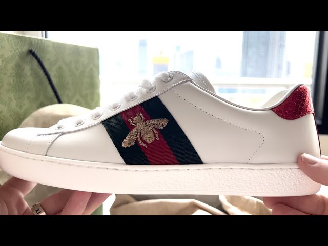 How to wear Gucci canvas shoes｜TikTok Search