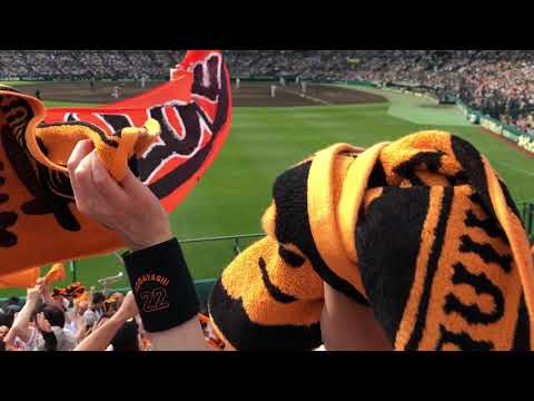 2018 04 22　甲子園球場　巨人　Gフレア~VivaGiants（岡本ホームラン）