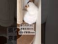 隅っこで綺麗にしてるプーちゃん。何気なく呼んだものの、振り向き方があまりに可愛くて1人で勝手に興奮w#ねこ #猫 #猫好きさんと繋がりたい #スコティシュフォールド