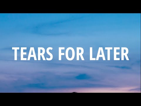 Don Diablo & Galantis - Tears for Later (Lyrics)