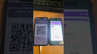 Nexa blows Kaspa away on a speed test