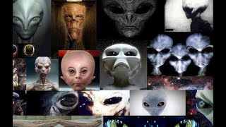 Which Ones Are Talking To Humanity