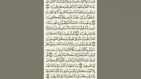 سورة التوبة من الآية ٤٨ إلى الآية ٥٤بصوت القارئ ماهر المعيقلي