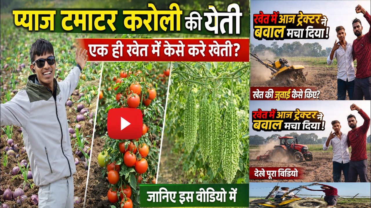 एक ही खेत में प्याज, टमाटर और करेला की खेती कैसे करें? पूरा तरीका जानें! आज क्या क्या हुआ khet me 