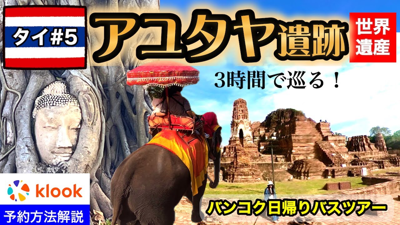 【🇹🇭タイ#5】象乗り＆アユタヤ遺跡を3時間で巡る🚌コスパ最強バスツアー【バンコク5泊6日】女1人旅✈️
