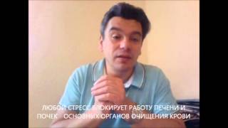 Как почистить печень после праздников? Плохая работа печени - причина болезней Как почистить печень после праздников? Плохая работа печени - причина болезней