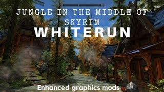 Welcome to my jungle! Skyrim WHITERUN Enhanced Graphics Mods