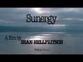 Suzanne ciani  kaitlyn aurelia smith  sunergy documentary