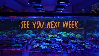 Thats A Wrap On Valentines Weekend At Ireef - Massive Thanks To Every Customer Who Visited