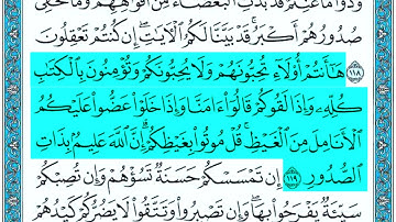 Surah Ali Imran Ayat 116 - 121 Seyyid Abdurrahman سورة آل عمران