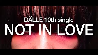 Dalle - Not In Love Full Sized Ver