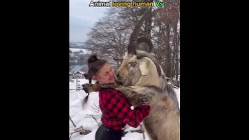 Animal warning to humans #trollface #edit #troll #fyp #usa #shorts #animals #animalrescue