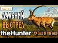 theHunter Call of the Wild #6 🐺 - Дальний Выстрел - "Куатро Колинас"