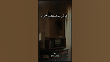 سورة إبراهيم بصوت الشيخ سيد سعيد رحمه الله #قرآن #قران_كري #راحة_نفسية #الشيخ_سيد_سعيد #funny #fyp