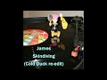 James Skindiving Cold Duck Re Edit mp3