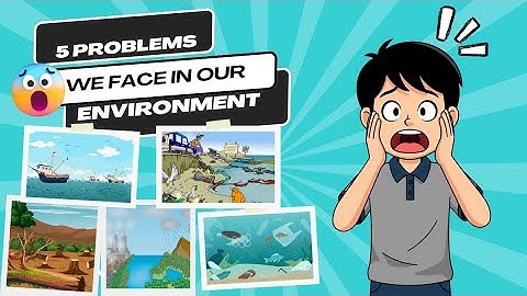 Five Problems in Our Environment