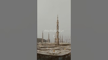 #ماهر_المعيقلي | يا أيها الذين آمنوا توبوا إلى الله توبة نصوحا | #تلاوة_خاشعة سورة التحريم الآية ٨