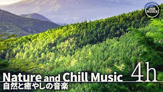 Nature Vibes [4h] : Lofi Hip Hop for Relaxation, Focus, and Gentle Sleep [Chill BGM]