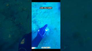 Best Underwater Finds ☠️ #trolledit