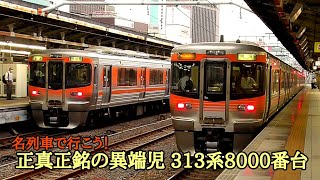 [ 名列車で行こう！] 313系8000番台,8500番台 元中央線セントラルライナー専用車のすべて