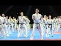 Karate kyokushinkai au 33eme festival des arts martiaux