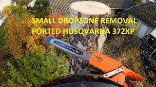 Arborist tree climbing small dropzone | Ported husqvarna 372XPG by patkarlsson 6,220 views 1 year ago 20 minutes