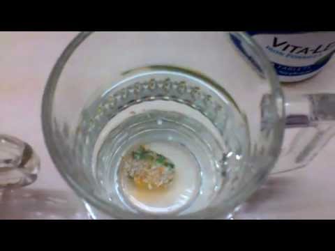 Shaklee vita lea demonstration 5 minute dissolve